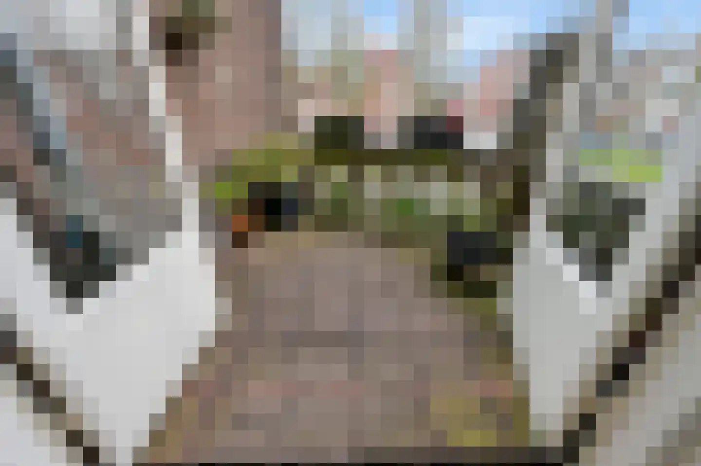 Statenlaan 2 B Den Haag thumbnail 25
