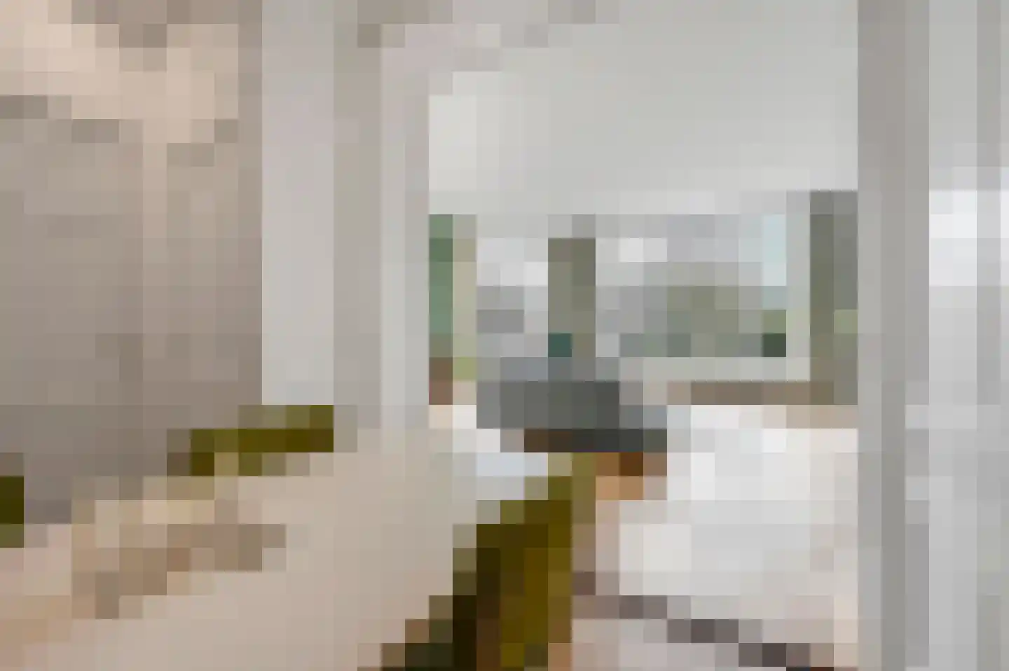 Statenlaan 2 B Den Haag thumbnail 29