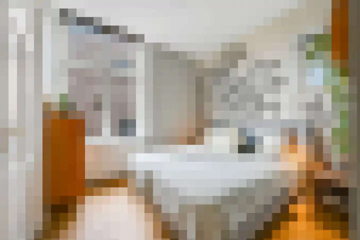 Statenlaan 2 B Den Haag thumbnail 36