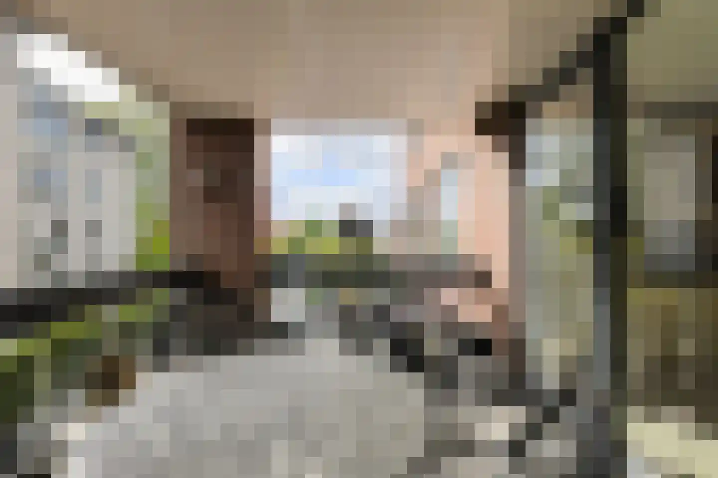 Statenlaan 2 C Oosterhout thumbnail 11