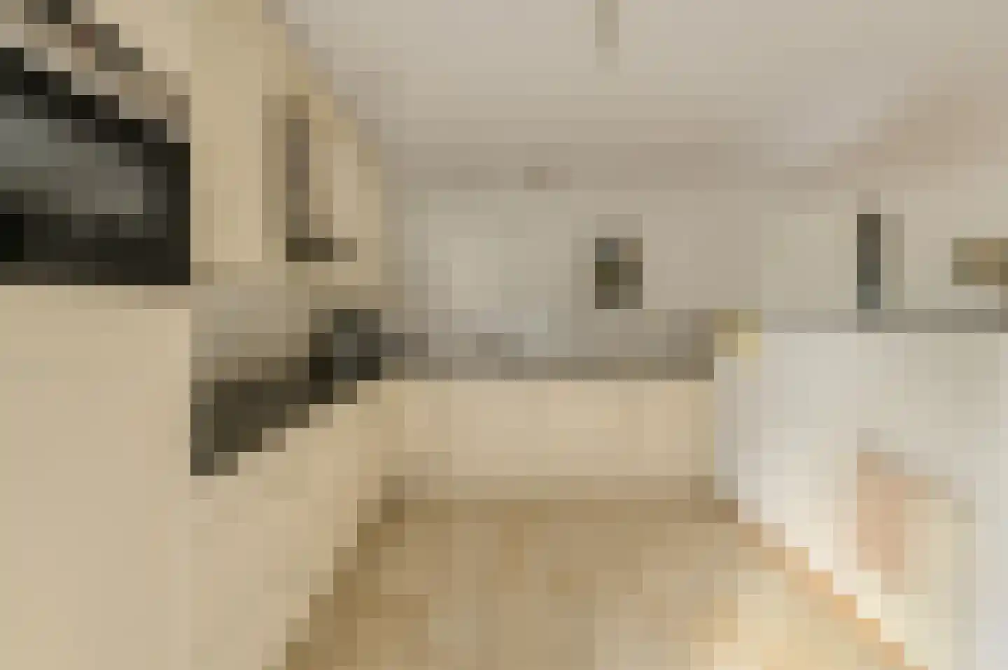 Statenlaan 2 C Oosterhout thumbnail 13