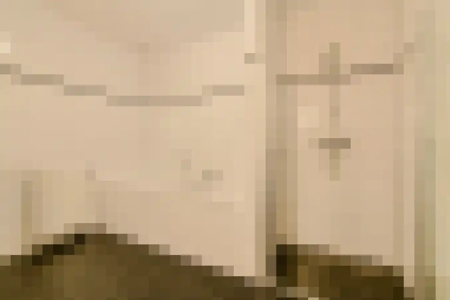 Statenlaan 2 C Oosterhout thumbnail 23