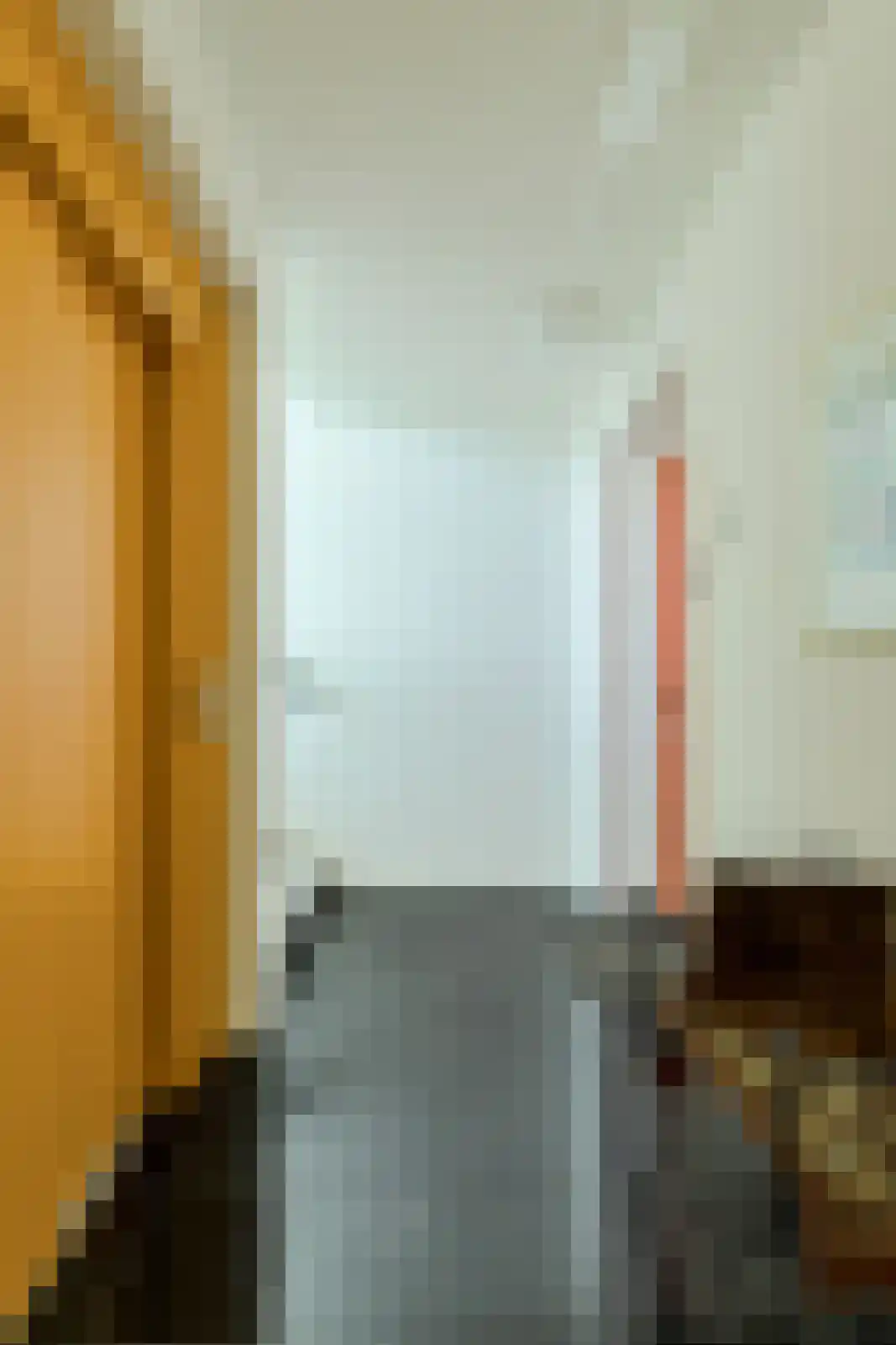 Statenlaan 2 C Oosterhout thumbnail 29