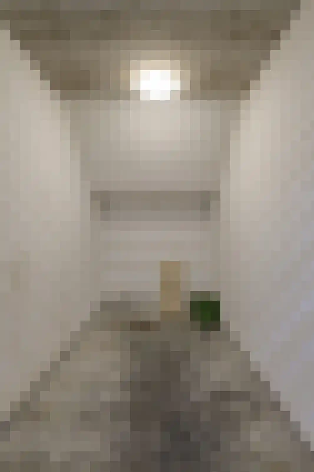 Statenlaan 2 C Oosterhout thumbnail 33