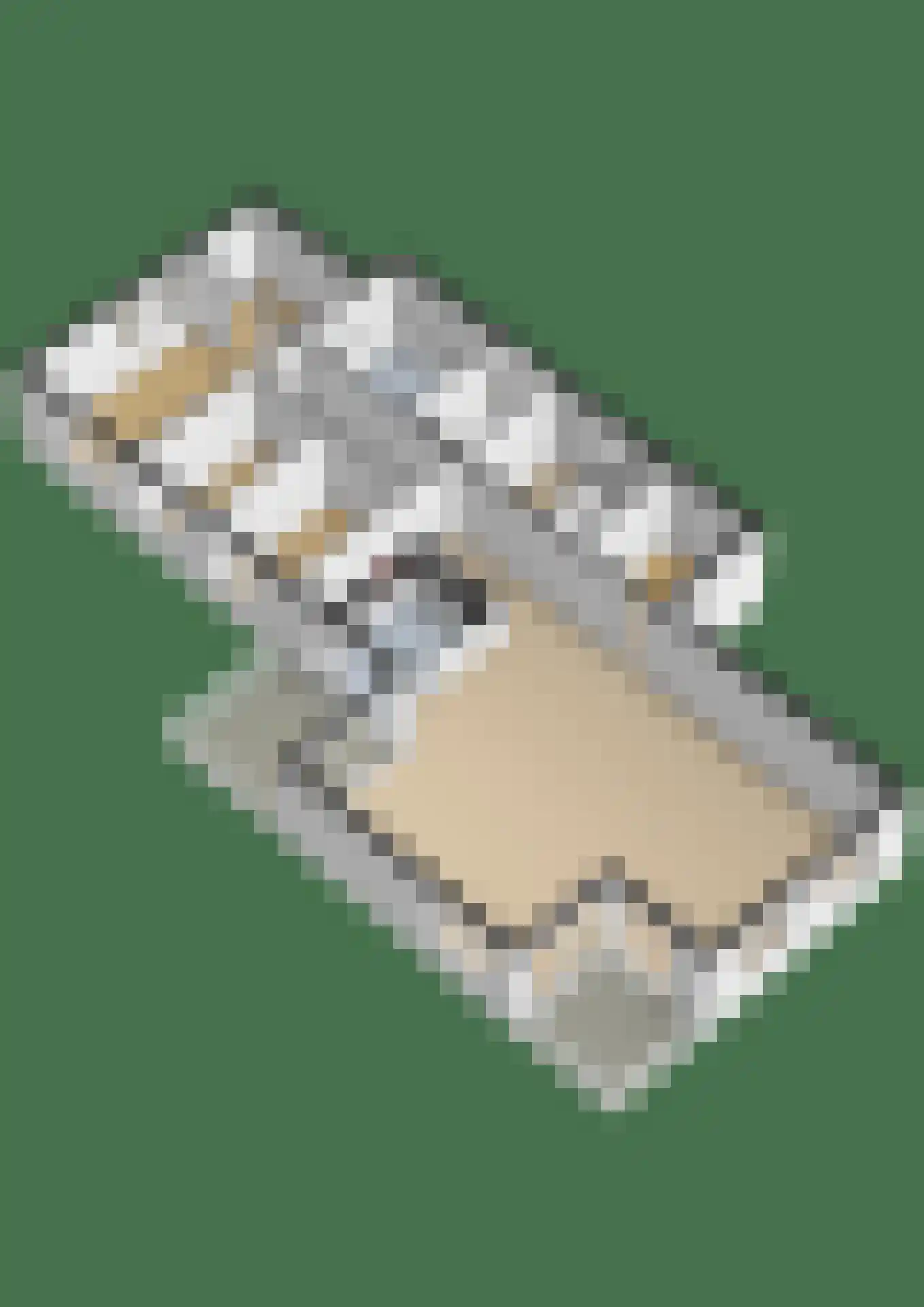 Statenlaan 2 C Oosterhout thumbnail 35