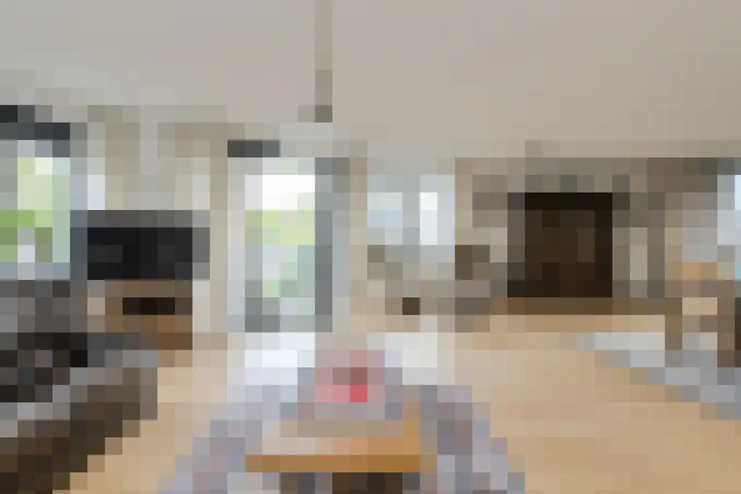 Statenlaan 2 C Oosterhout thumbnail 5