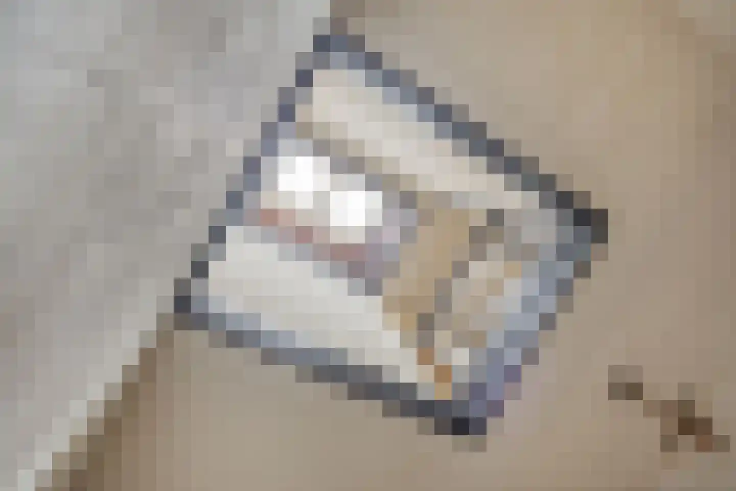Statenlaan 21 Rotterdam thumbnail 20