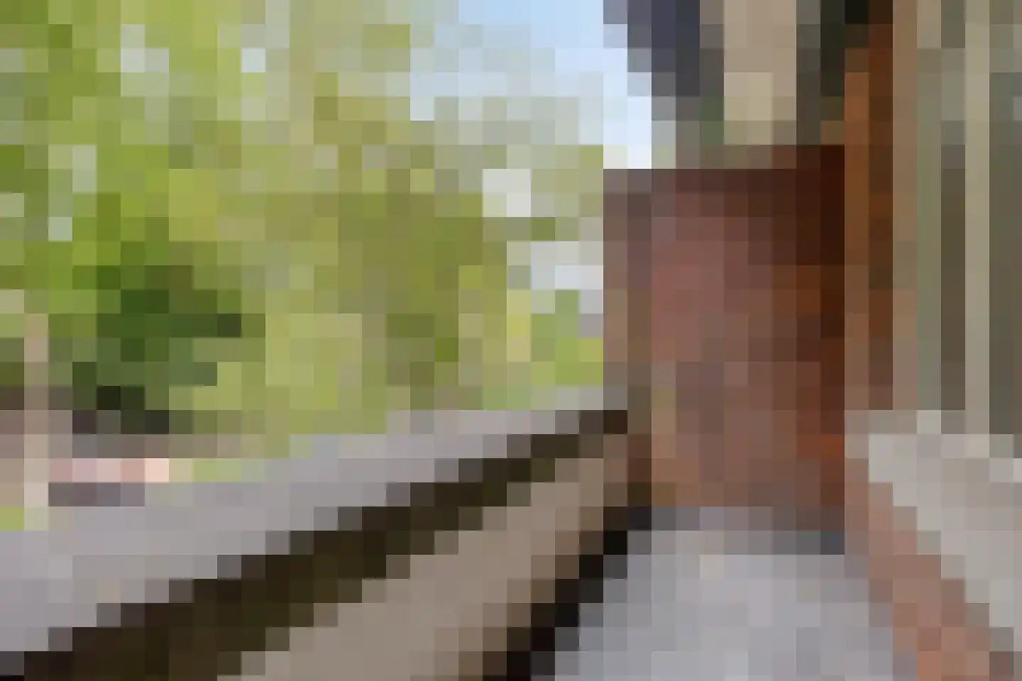 Statenlaan 21 Rotterdam thumbnail 26