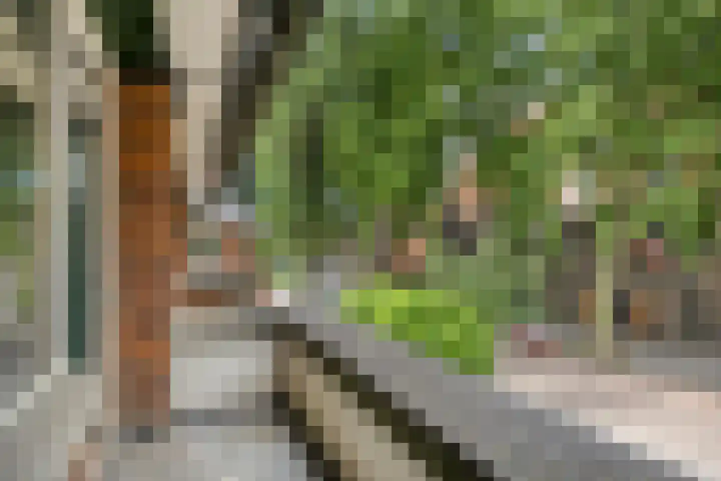 Statenlaan 21 Rotterdam thumbnail 27