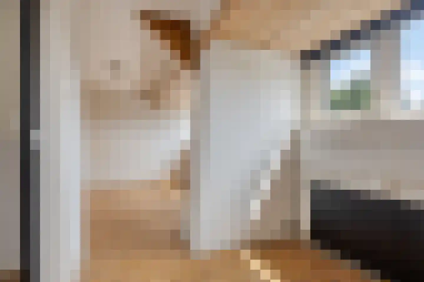Statenlaan 21 Rotterdam thumbnail 37