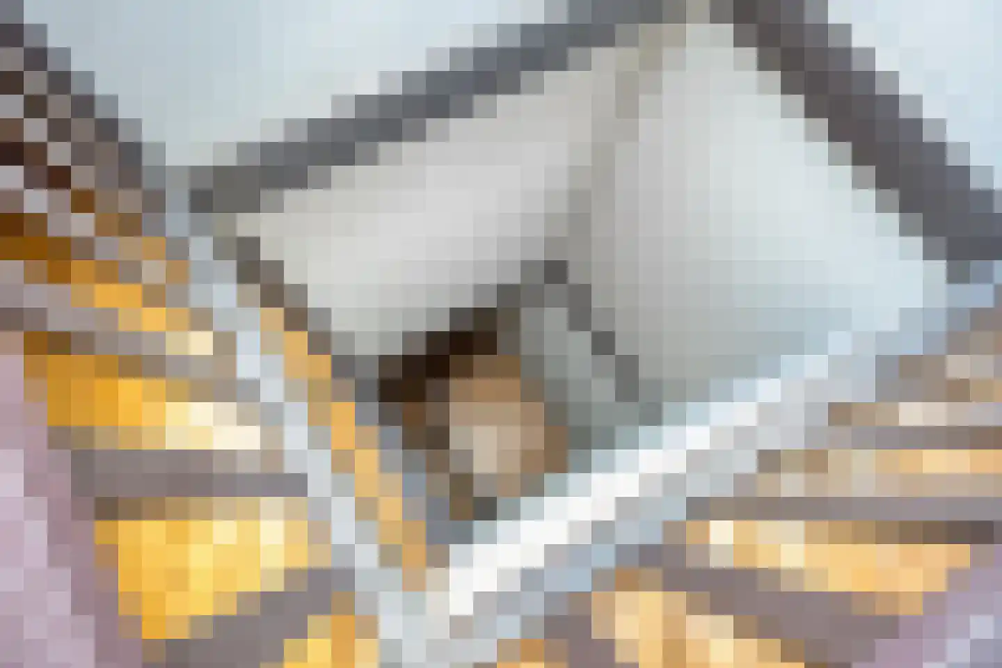 Statenlaan 21 Rotterdam thumbnail 44