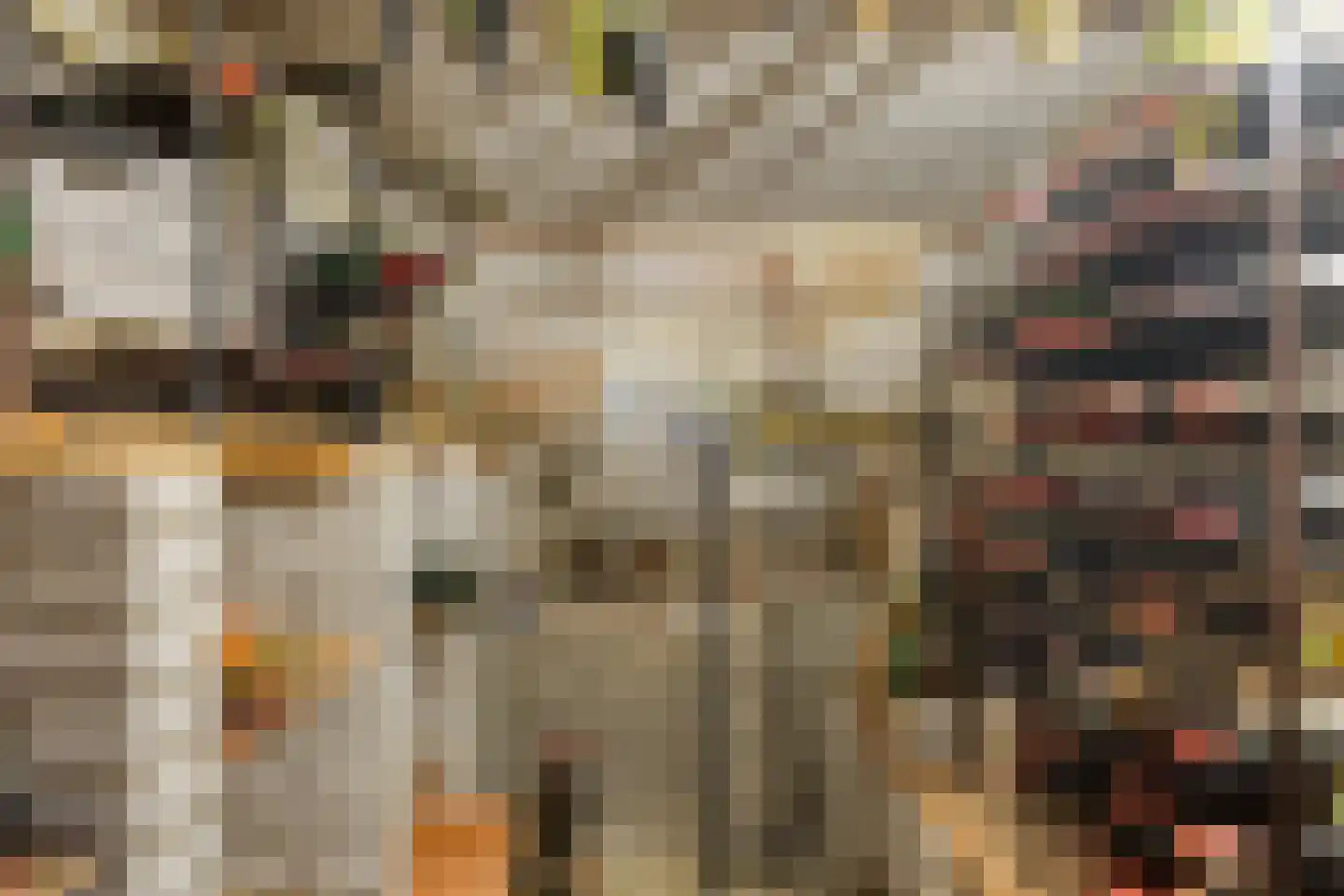 Statenlaan 21 Rotterdam thumbnail 52