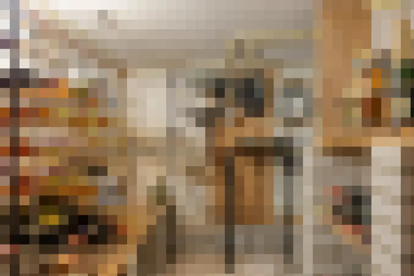 Statenlaan 21 Rotterdam thumbnail 53