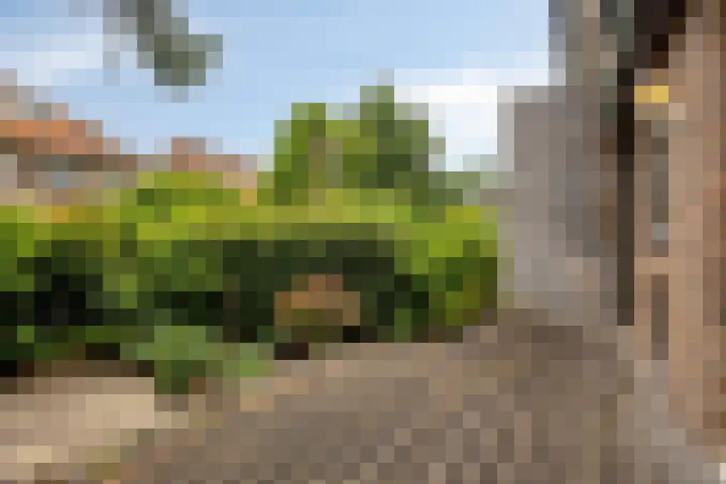 Statenlaan 21 Rotterdam thumbnail 54