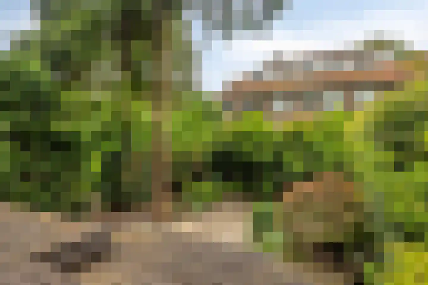 Statenlaan 21 Rotterdam thumbnail 56