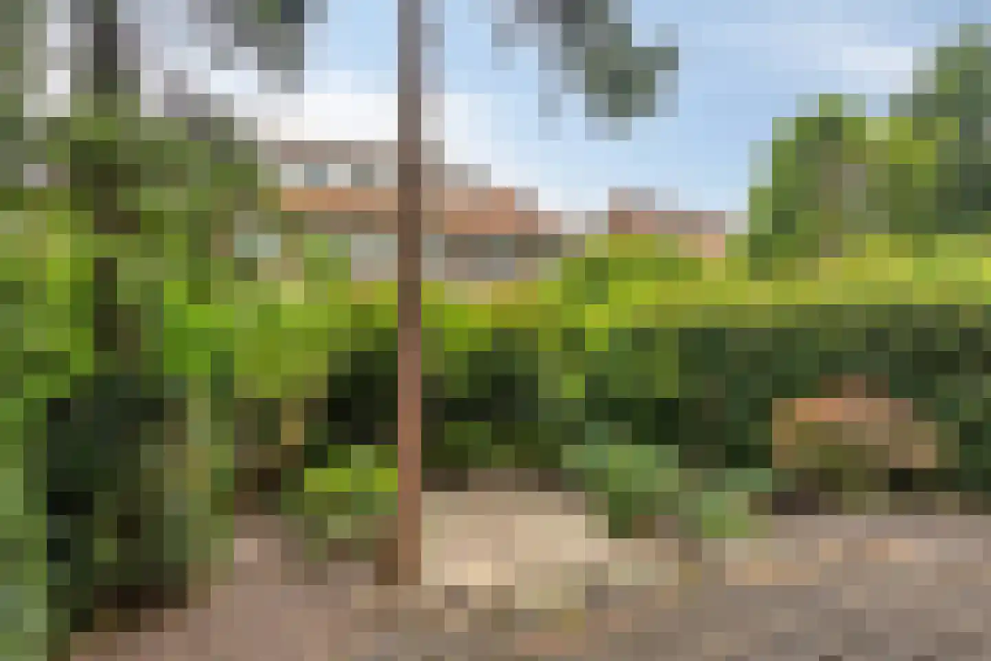 Statenlaan 21 Rotterdam thumbnail 59