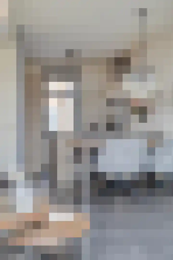 Statenlaan 213 Helmond thumbnail 10