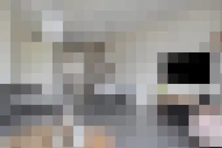 Statenlaan 213 Helmond thumbnail 14