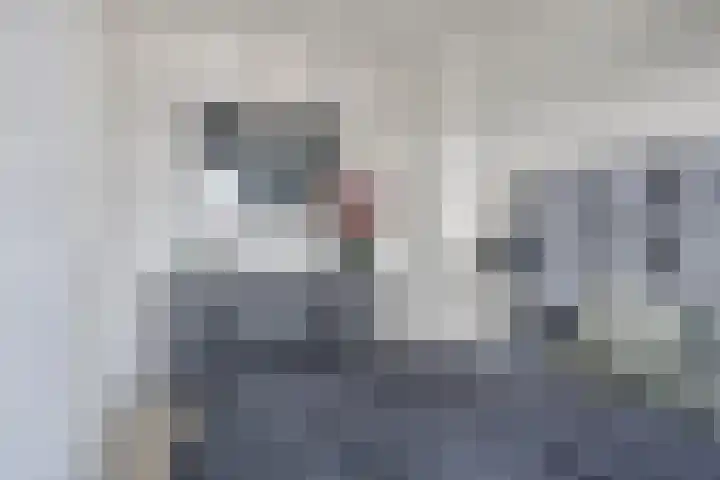 Statenlaan 213 Helmond thumbnail 24