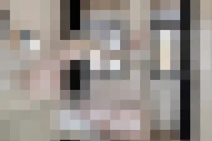 Statenlaan 213 Helmond thumbnail 30