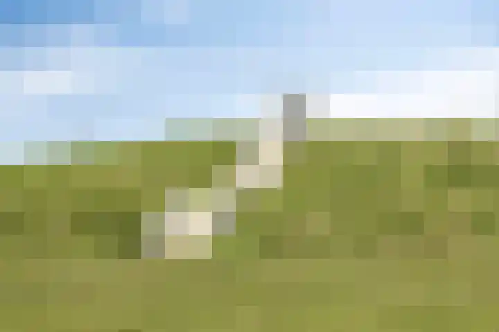 Statenlaan 213 Helmond thumbnail 35