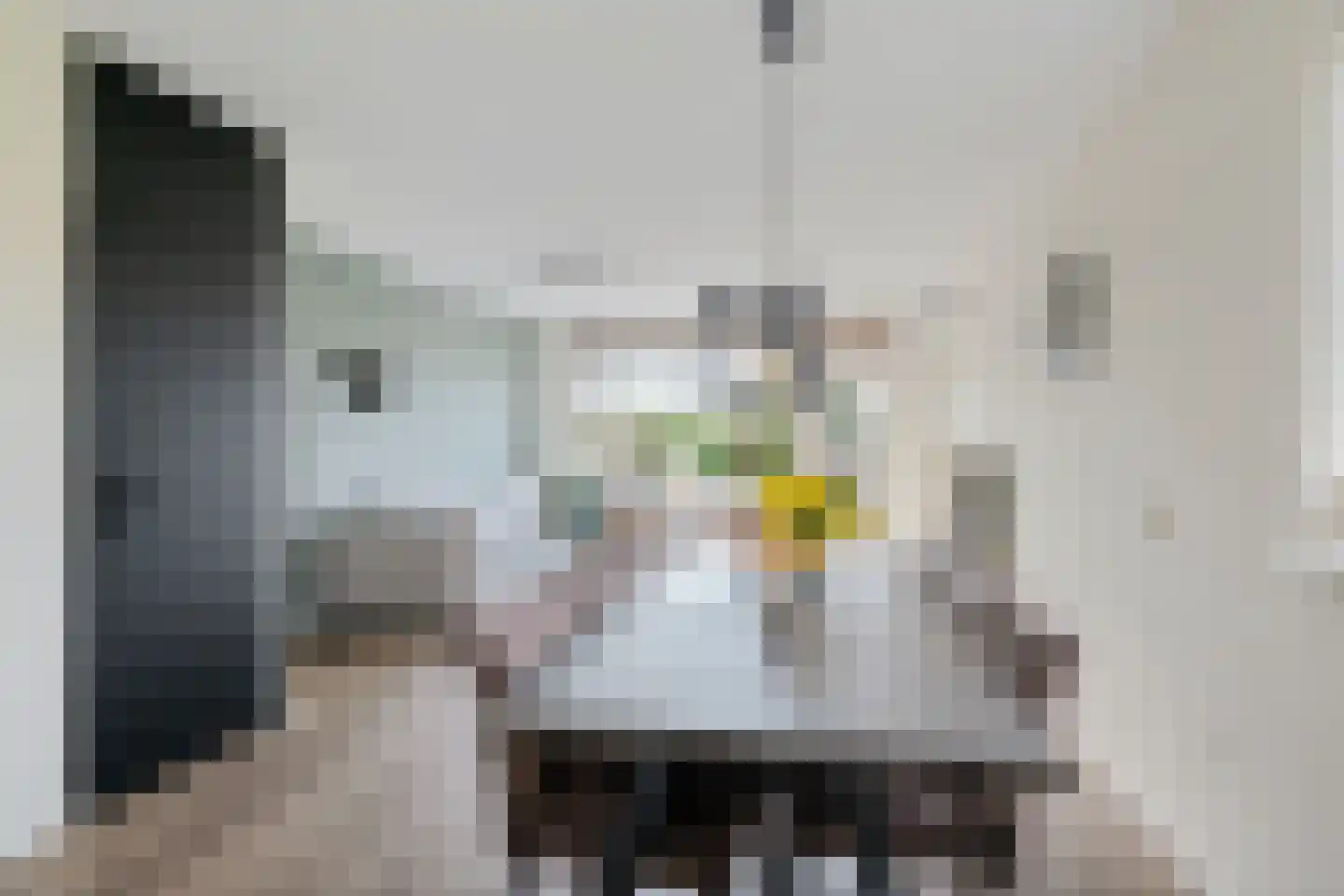 Statenlaan 213 Helmond thumbnail 38