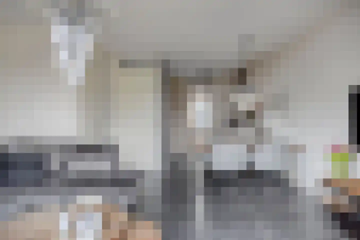 Statenlaan 213 Helmond thumbnail 8