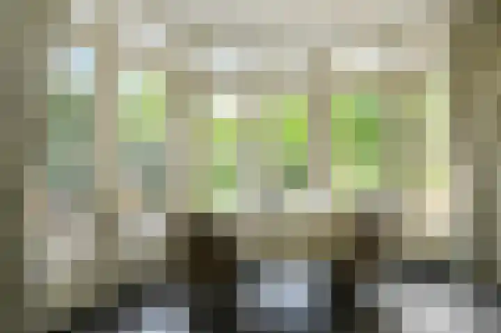 Statenlaan 22 Oosterhout thumbnail 11