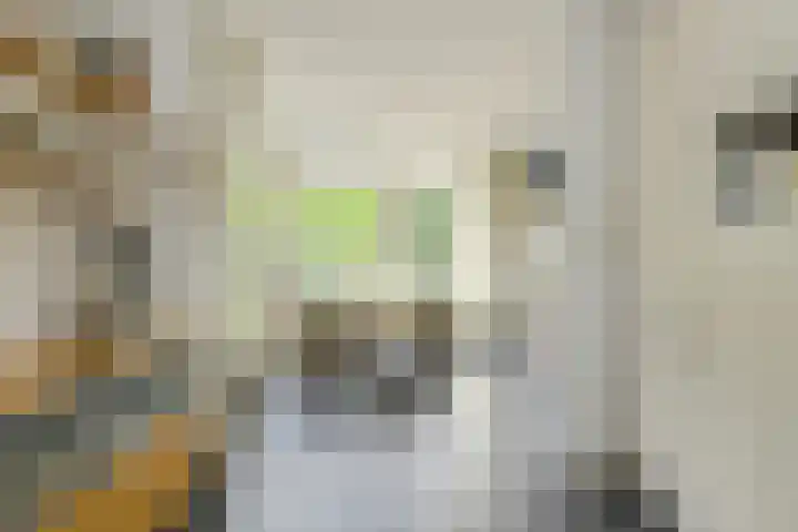 Statenlaan 22 Oosterhout thumbnail 12