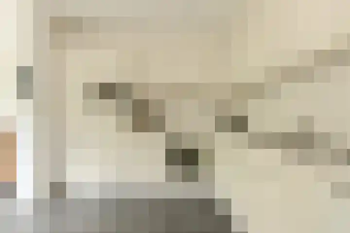 Statenlaan 22 Oosterhout thumbnail 13