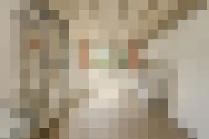 Statenlaan 22 Oosterhout thumbnail 15