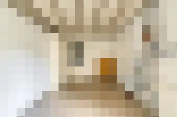 Statenlaan 22 Oosterhout thumbnail 16