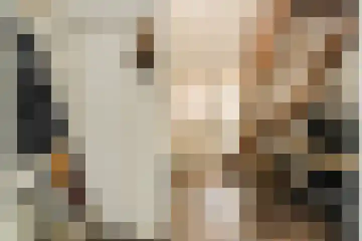 Statenlaan 22 Oosterhout thumbnail 17