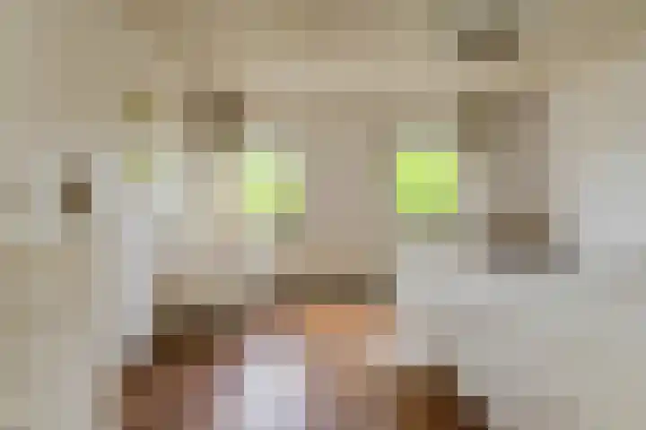 Statenlaan 22 Oosterhout thumbnail 20