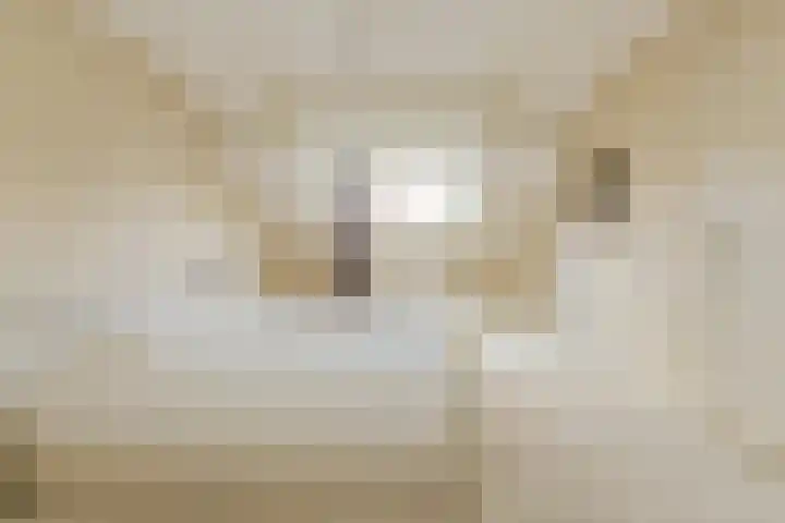 Statenlaan 22 Oosterhout thumbnail 28