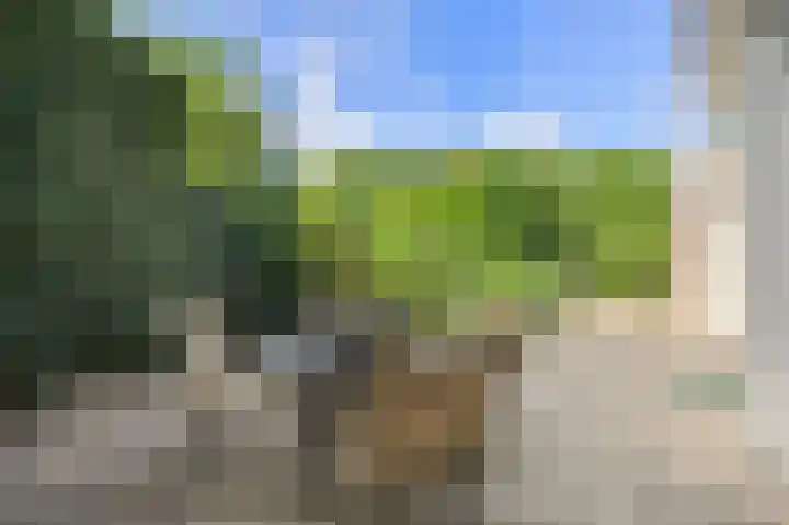 Statenlaan 22 Oosterhout thumbnail 31