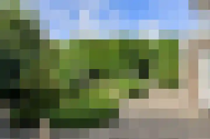 Statenlaan 22 Oosterhout thumbnail 33