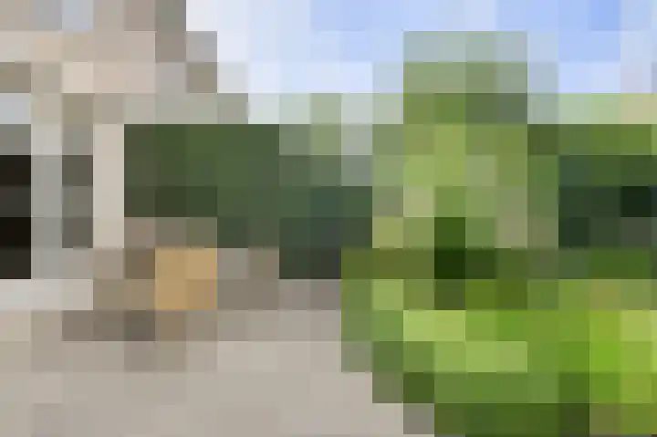 Statenlaan 22 Oosterhout thumbnail 36