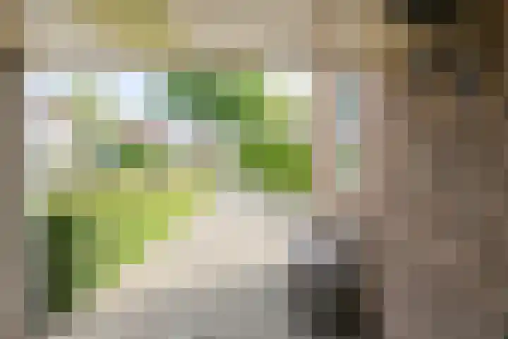 Statenlaan 22 Oosterhout thumbnail 37