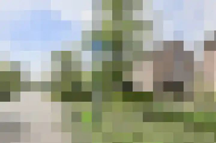 Statenlaan 22 Oosterhout thumbnail 38