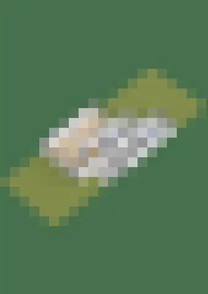 Statenlaan 22 Oosterhout thumbnail 47