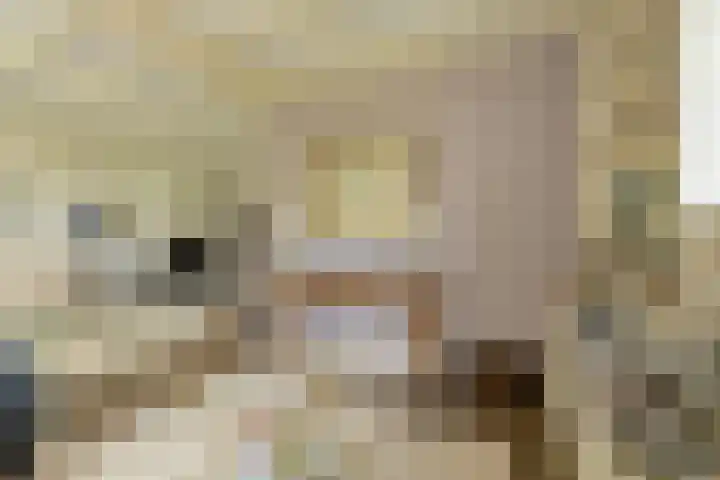 Statenlaan 22 Oosterhout thumbnail 5
