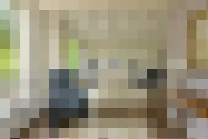 Statenlaan 22 Oosterhout thumbnail 6