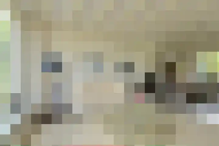 Statenlaan 22 Oosterhout thumbnail 7