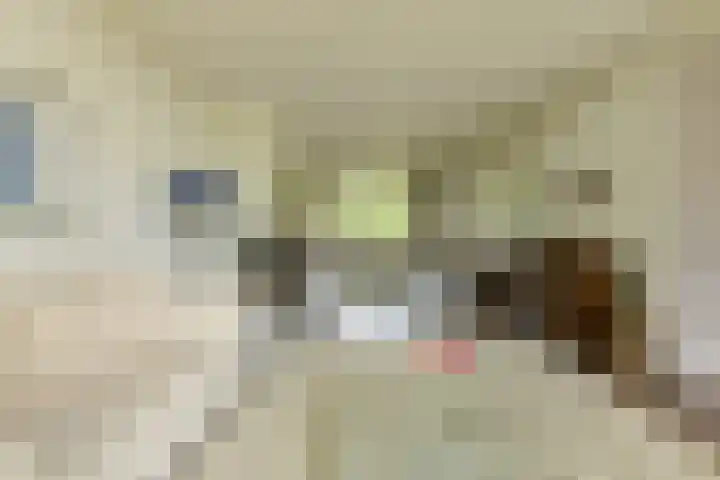Statenlaan 22 Oosterhout thumbnail 8
