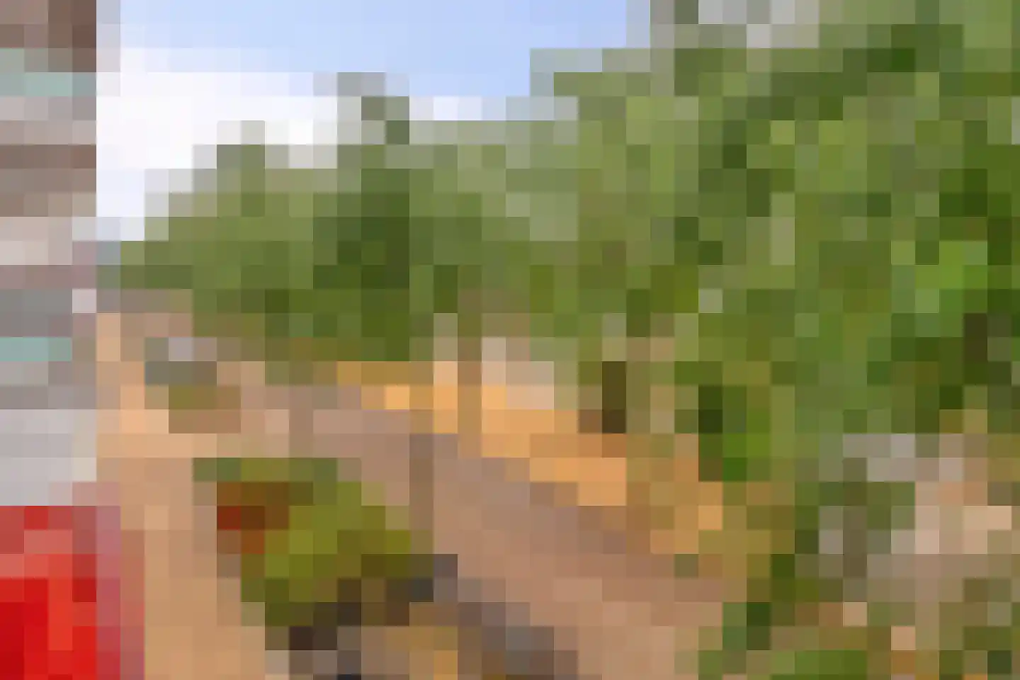 Statenlaan 229 's-Hertogenbosch thumbnail 12