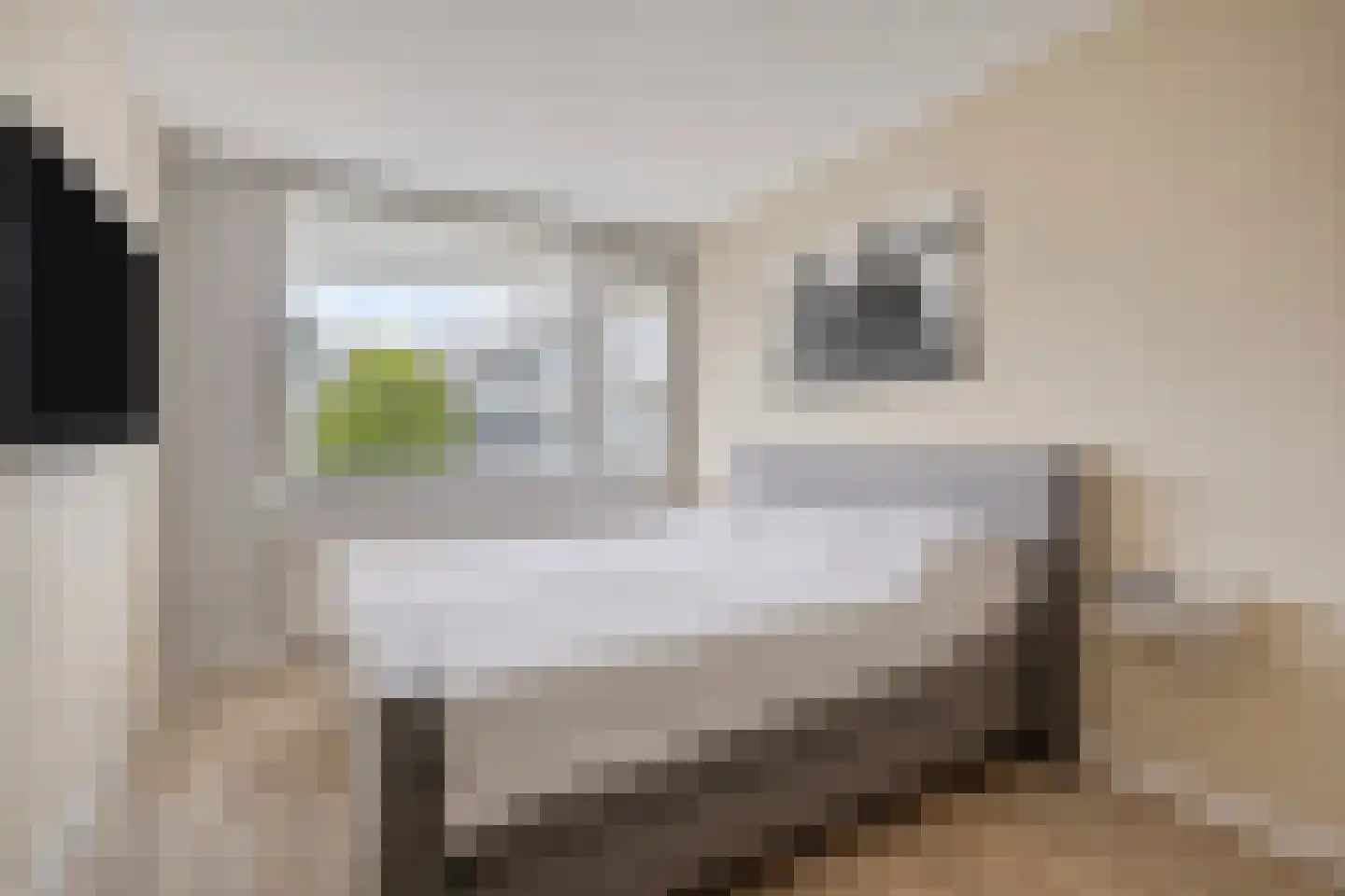 Statenlaan 229 's-Hertogenbosch thumbnail 14