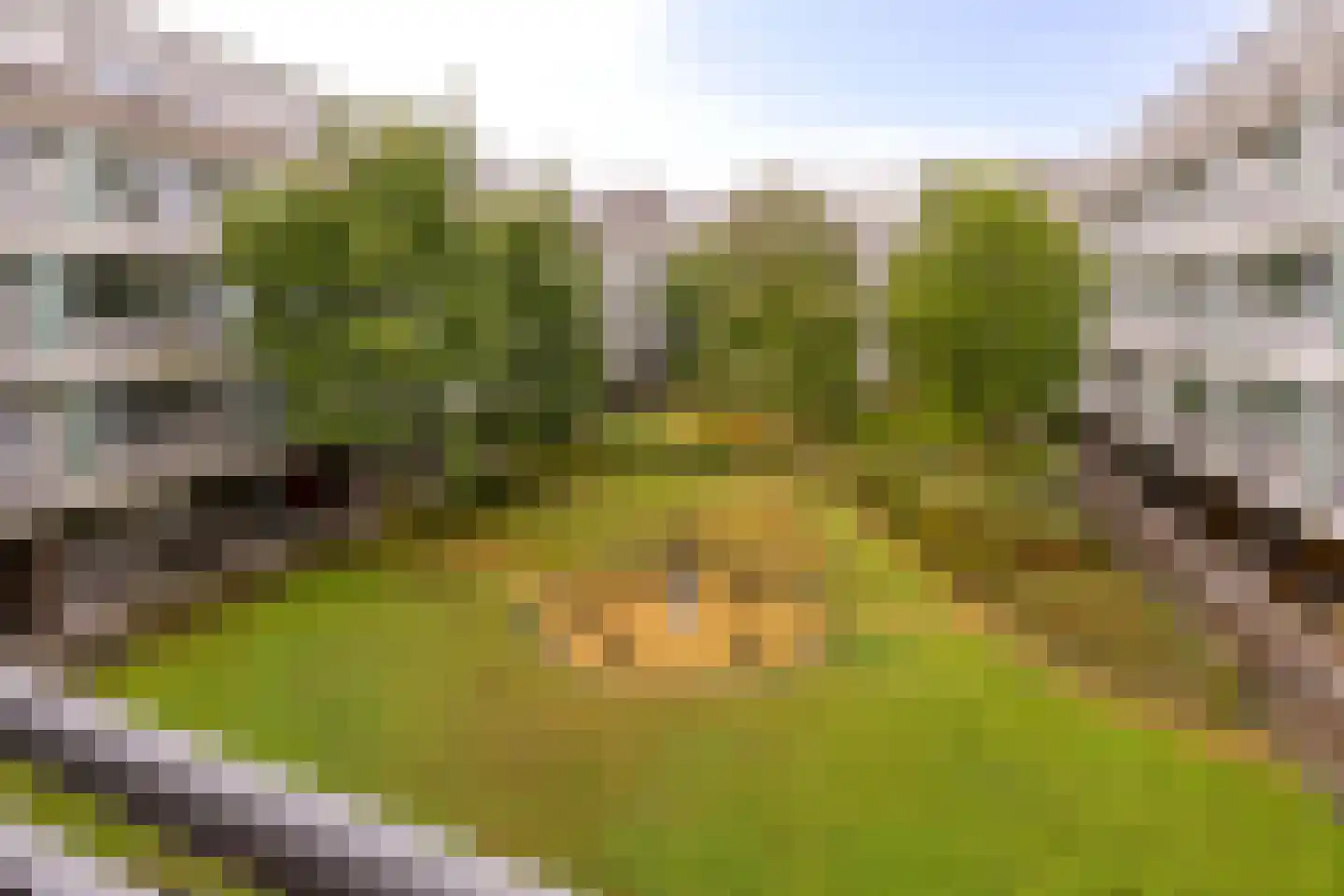 Statenlaan 229 's-Hertogenbosch thumbnail 22