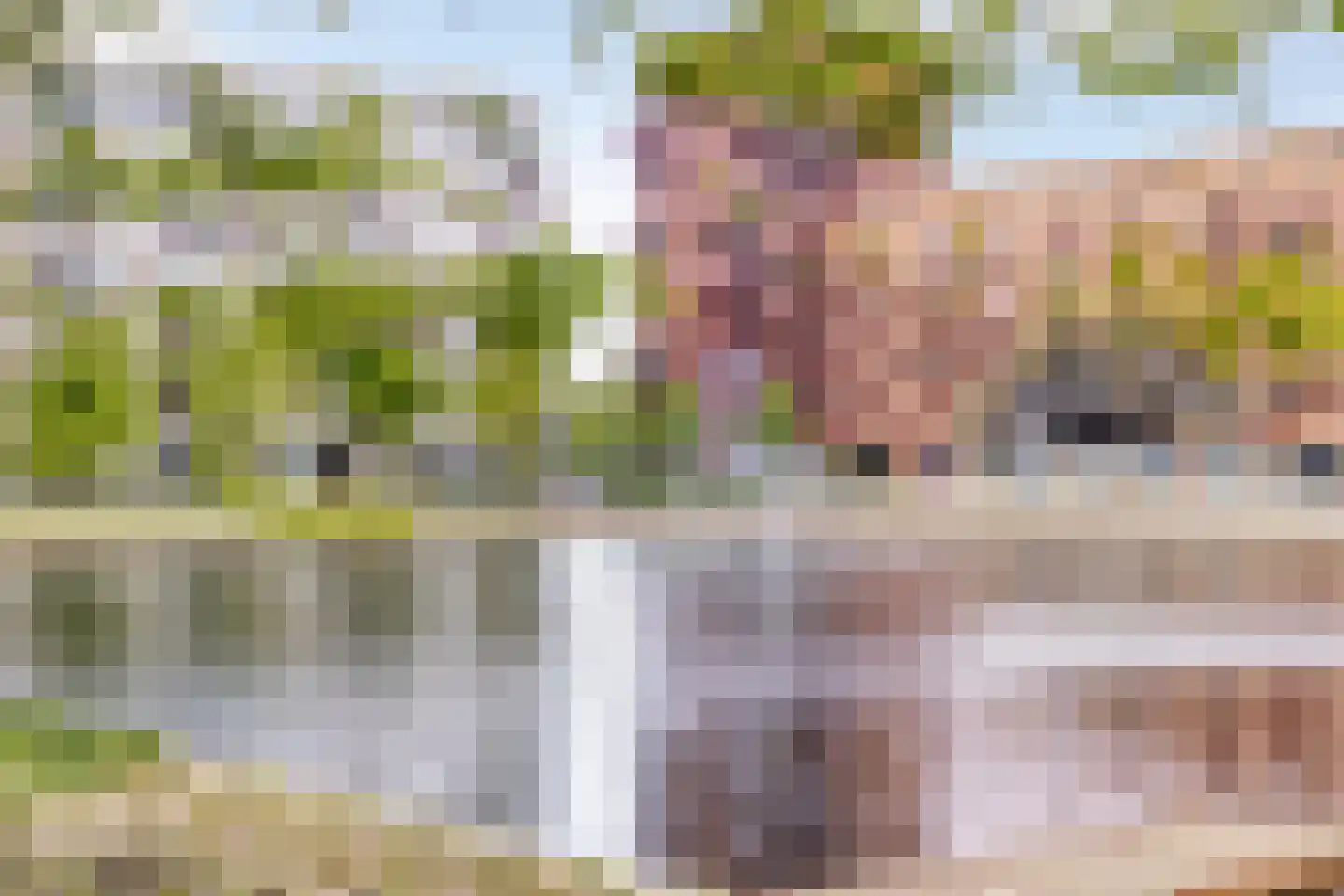 Statenlaan 229 's-Hertogenbosch thumbnail 25