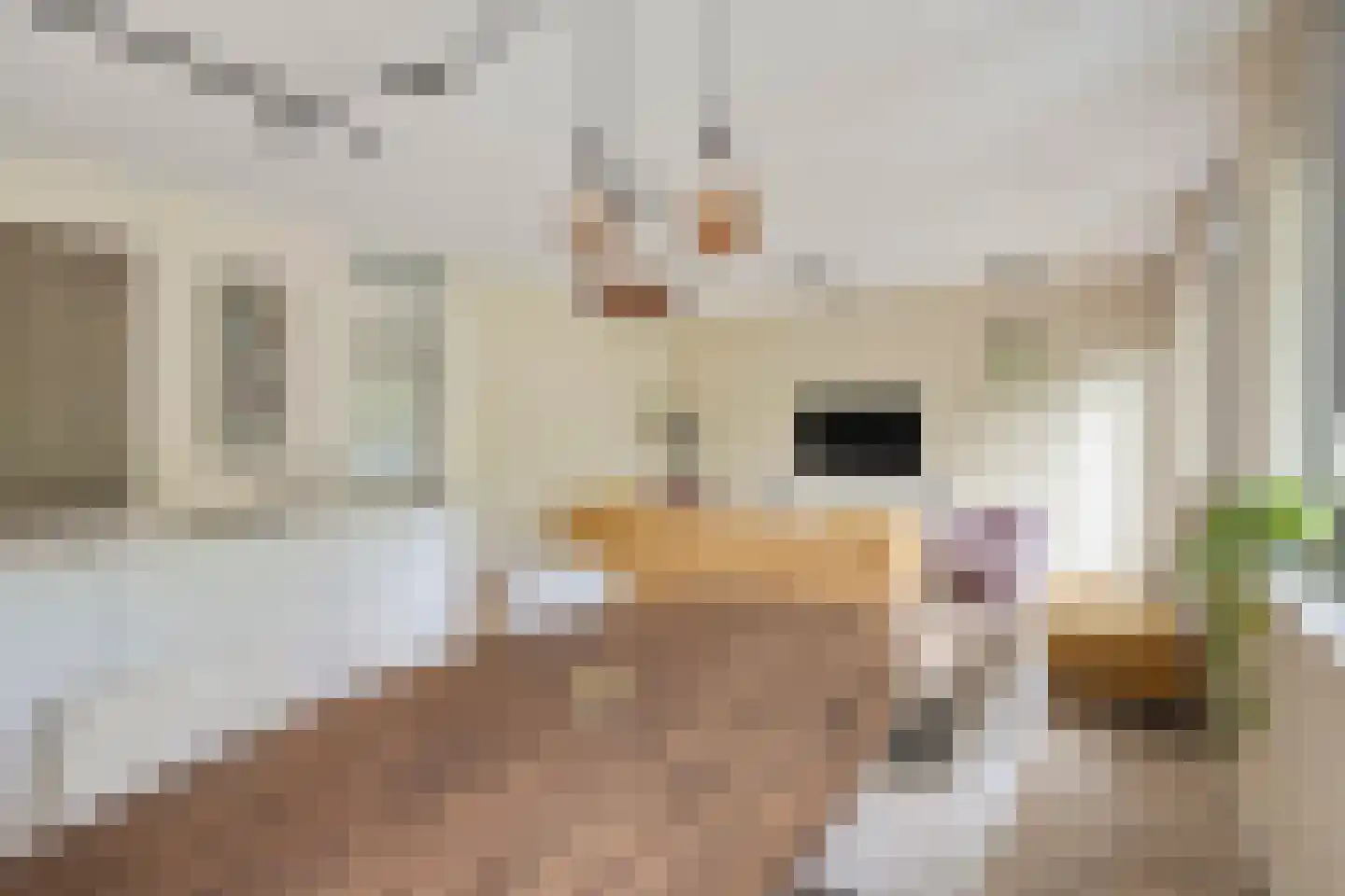 Statenlaan 229 's-Hertogenbosch thumbnail 8